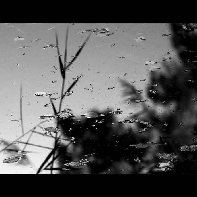 Příběh vodní hladiny