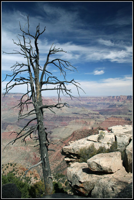 pohlad na Grand Canyon