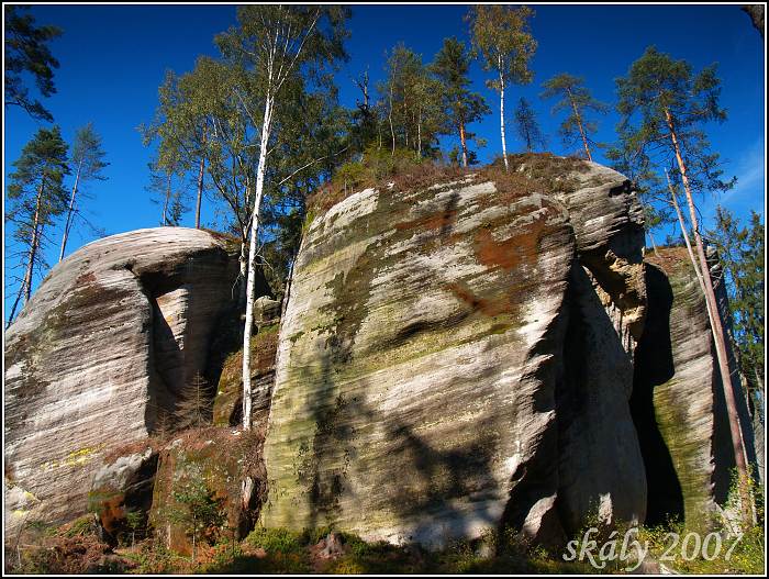 obři