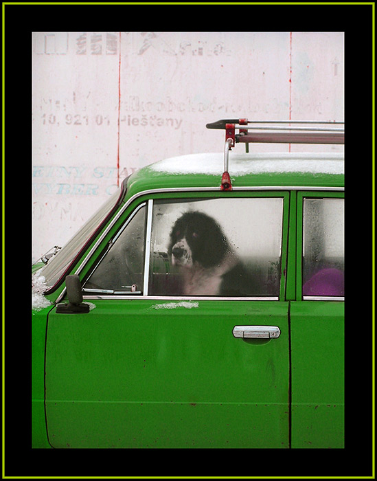 Tak a dneska šoférujem ja !!!