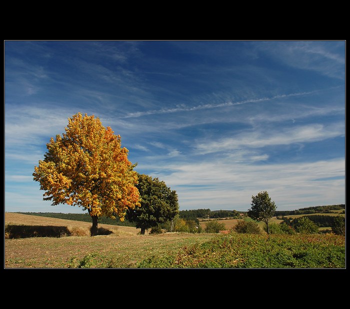 Podzimní Vysočina