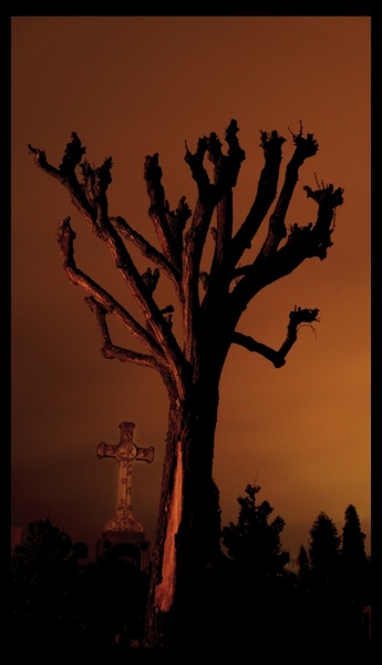 two lonely graves