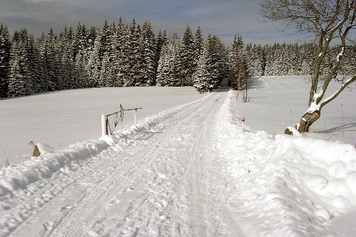 Šumava