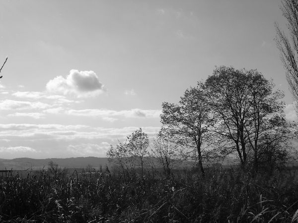 Krajina