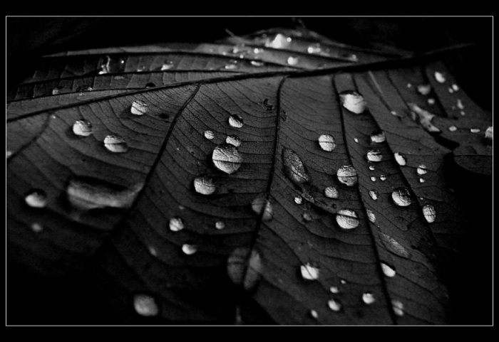Drops in the darkness