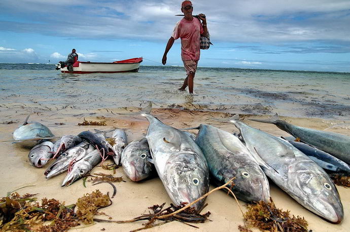 fisherman