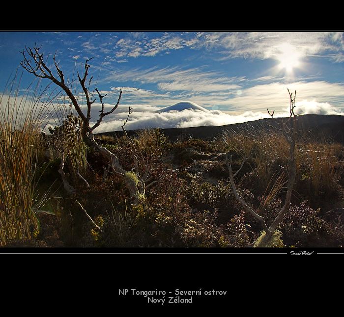 Sopka Ngauruhoe