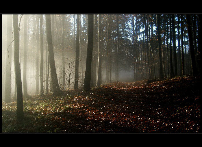 mlha stokrát jinak 024