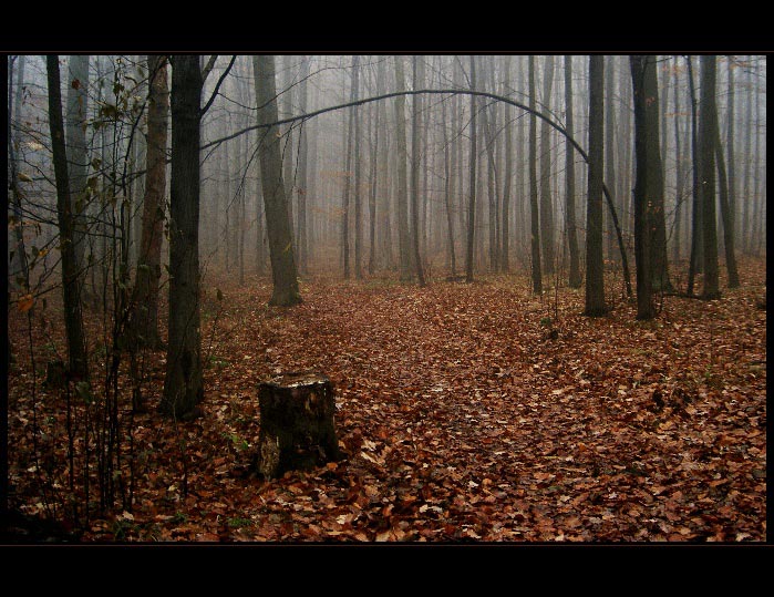 mlha stokrát jinak 025