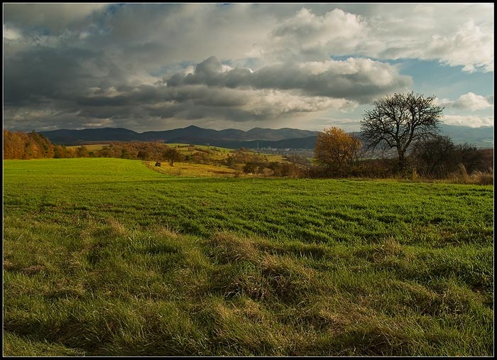 Novembrová - Listopadová