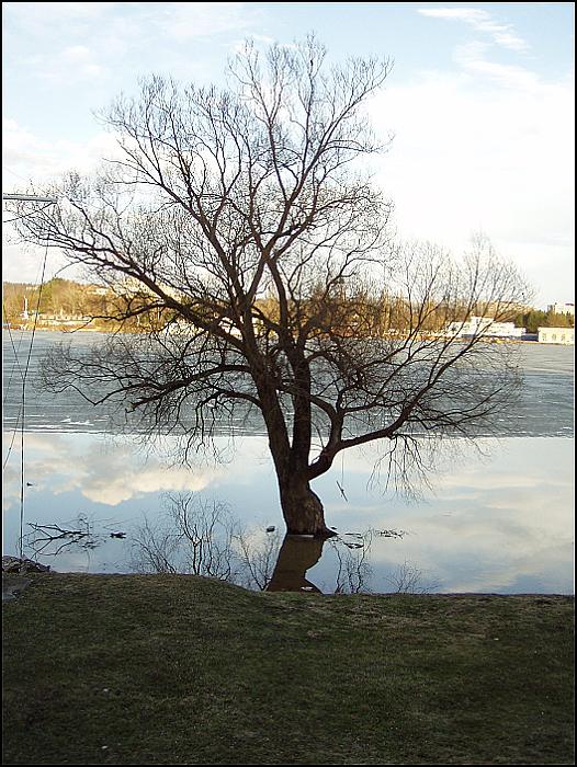 Brněnská přehrada - když tály ledy