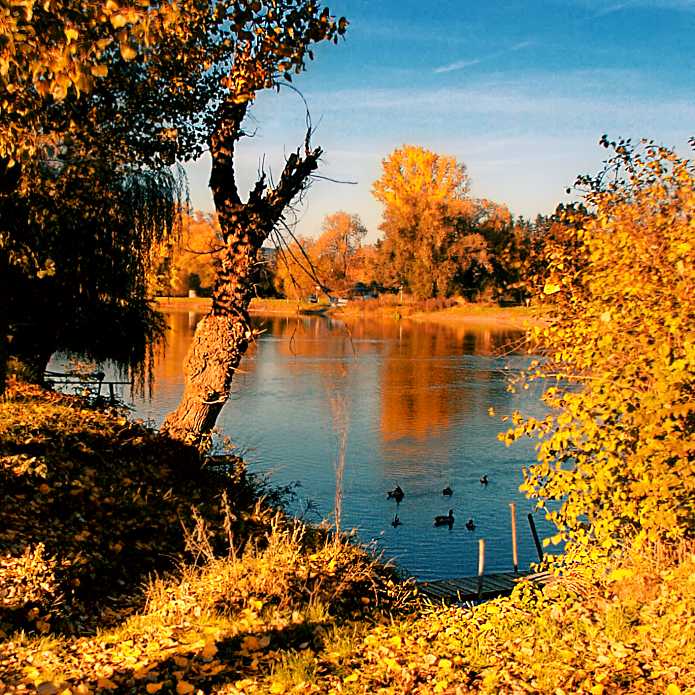 Staré vzpomínky u Berounky