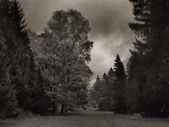 Temná chvilka podzimu