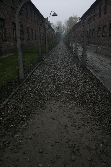 auschwitz-birkenau