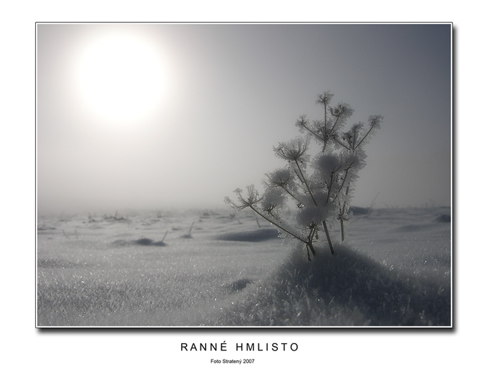 Ranné hmlisto