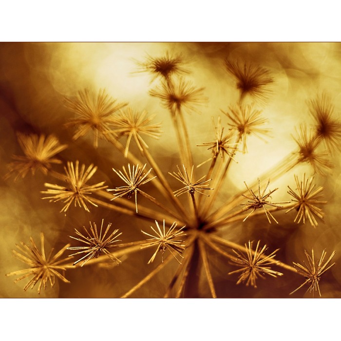 ...radosti života...