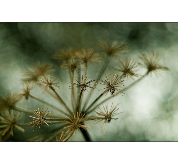 ...drobná štěstíčka...