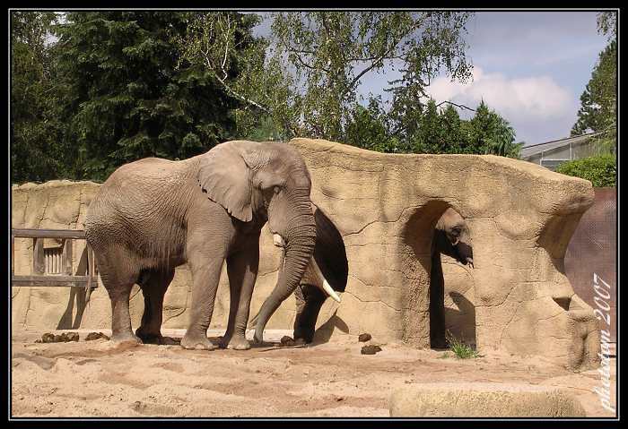 Jedna ze ZOO