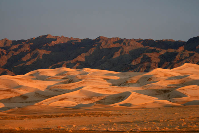 Gobi - Khongoryn Els