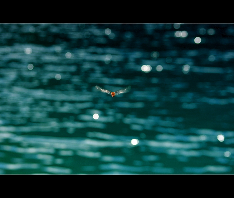 ... Plitvická letka ...