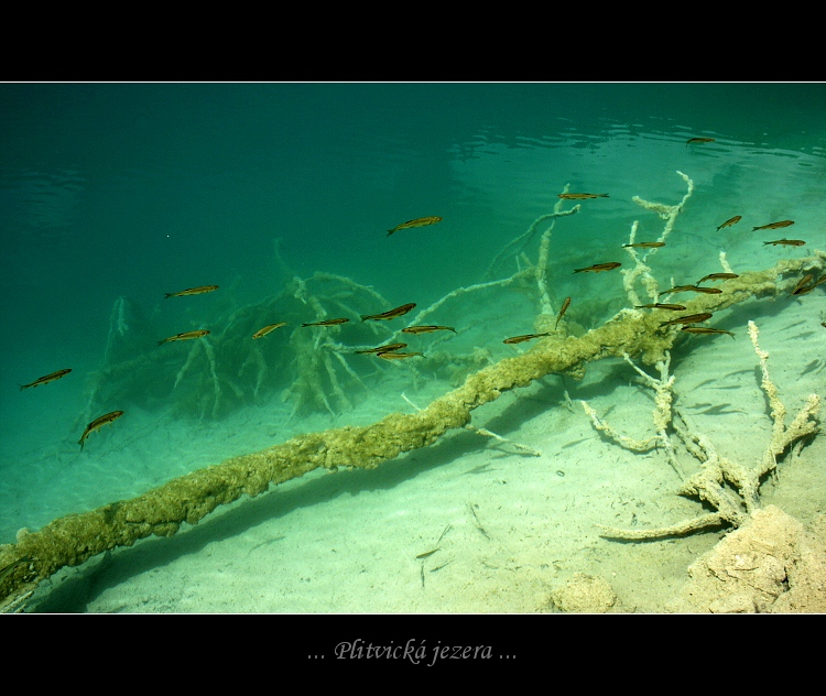 ... Plitvice...