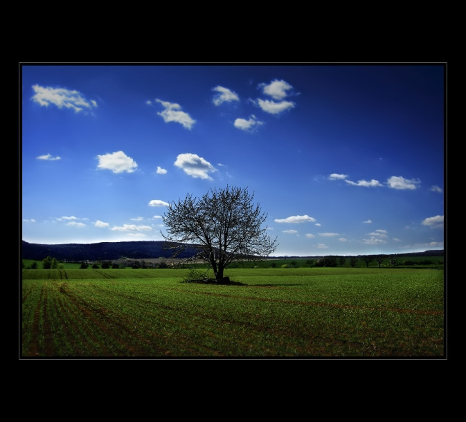 Spomienka na leto ...