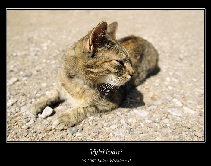 Vyhřívání