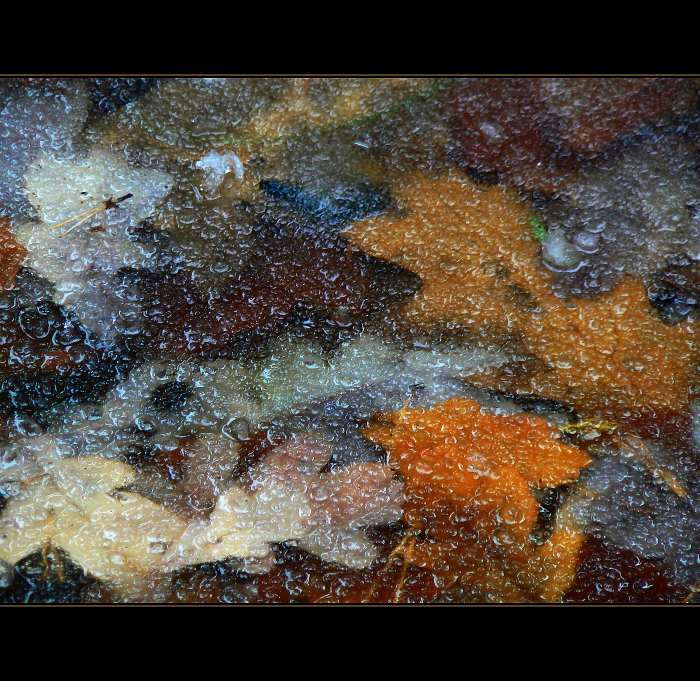 *ice puzzle*