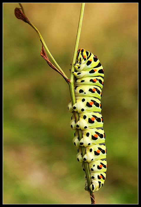 Držím se zuby nehty