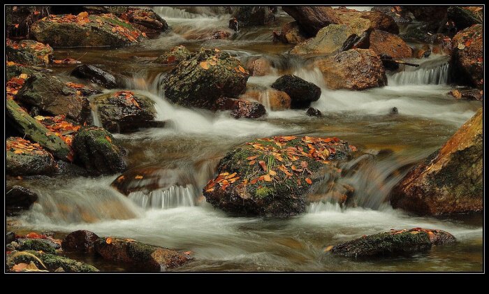 podzimní potůček (5)