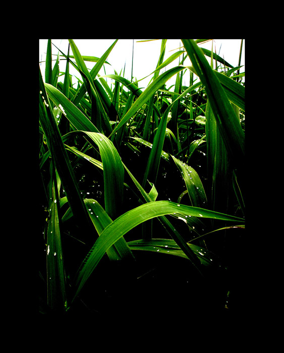 Keď sa Zem zobudí strapatá