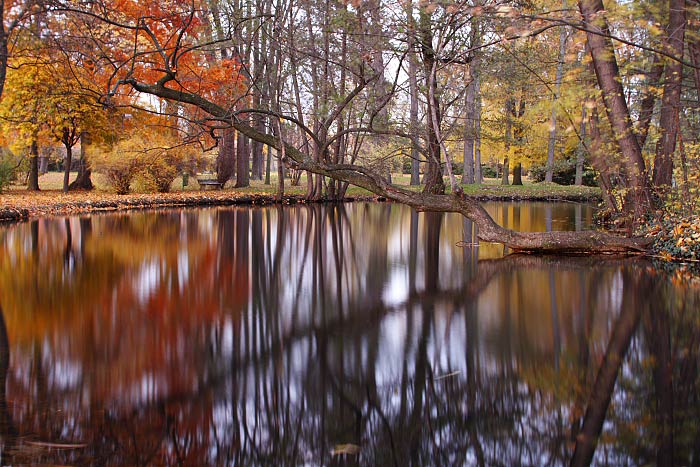 Autumn Hues