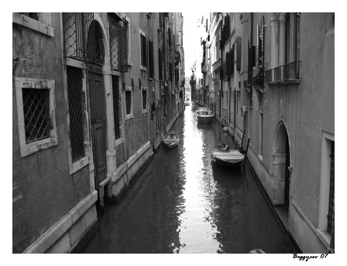 .:. Greetings from Venice .:.