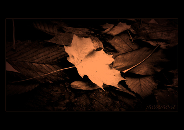..::PodZiM::..