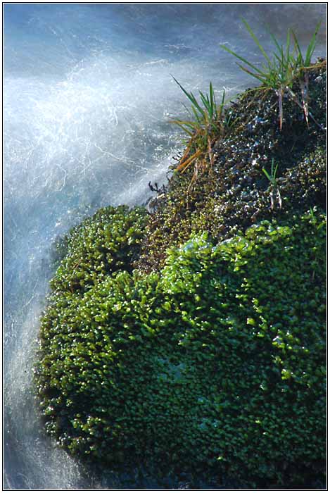 Vydření 2007