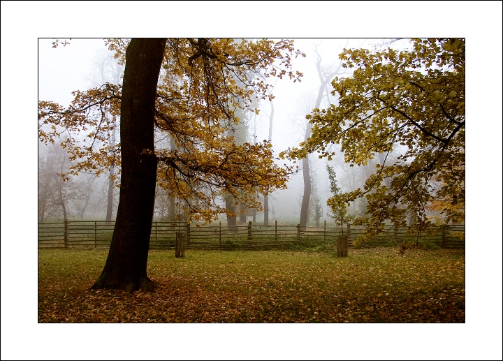 Návraty do veltruského parku XXIX - Podzim 2007