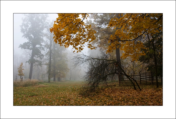 Návraty do veltruského parku XXX - Podzim 2007