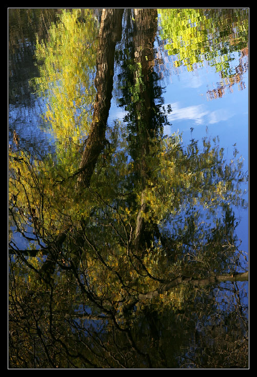 odraz jesene/podzimu/ 2007