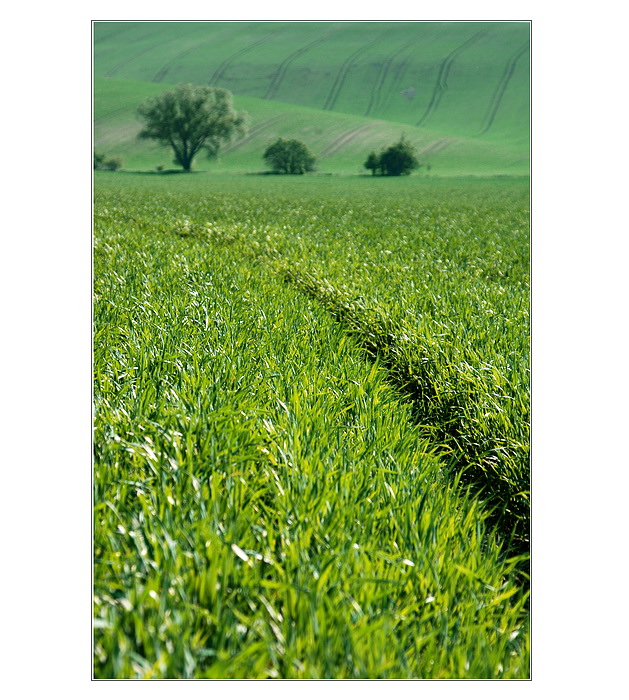 Poslední jarní brázda