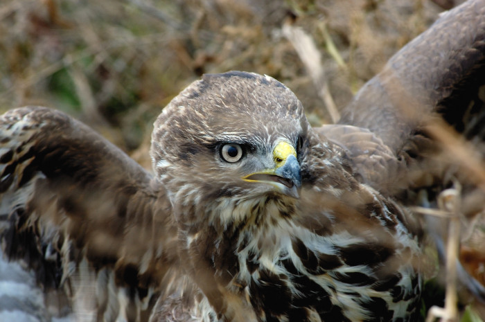 Príbeh bez hapyendu 2