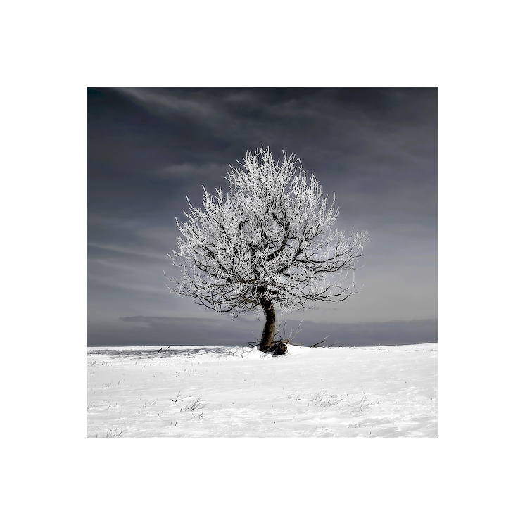 Kdesi v Krušných horách
