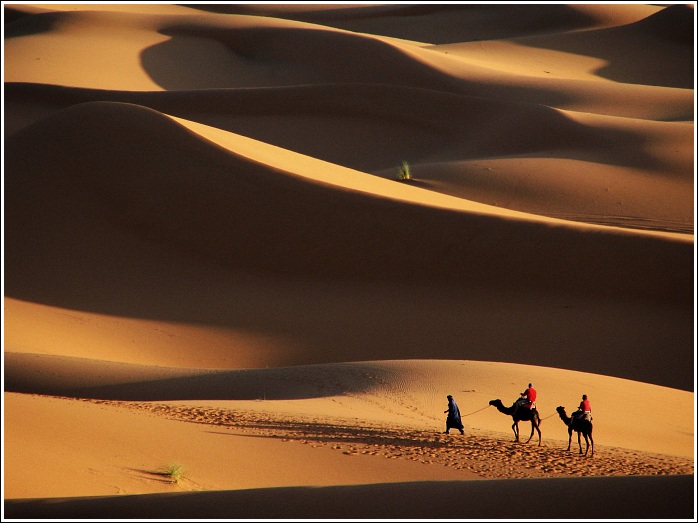 Erg Chebbi VII.
