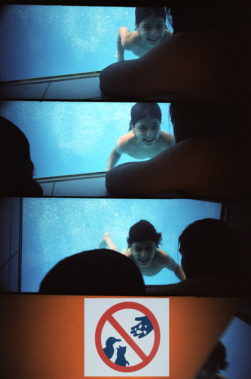 fired video bus tour 2006 -ryba je kámoš, ne žrádlo