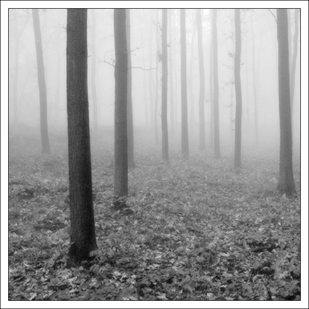 ..rozhovor v mlze...