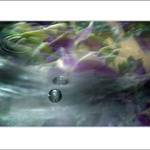 .: PERLA ZE STUDÁNKY :.