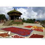 Red Hot Chilli Peppers