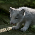 "Už je tam fakt jenom Budulínek..!"