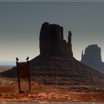 Vrána k vráně sedá