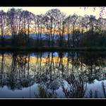 Labe  u  Poděbrad   II.