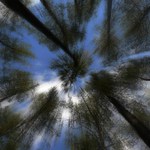 ...hlavy v oblacích...